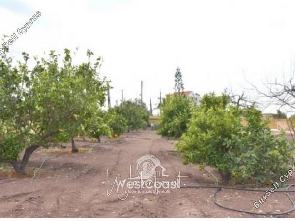 3 bedroom bungalow for sale kato paphos paphos 8959154 image 17778579