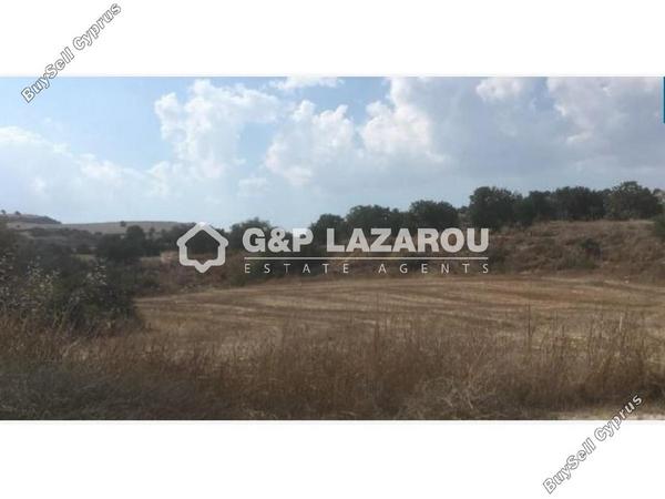 land for sale alaminos larnaca 1688154 image 14152342