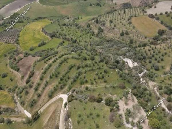 land for sale filousa chrysoxous paphos 1270154 image 15599301