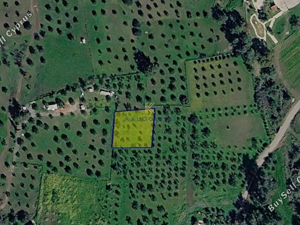 land for sale kornos larnaca 8711154 image 16276760