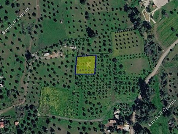land for sale kornos larnaca 8711154 image 16276762