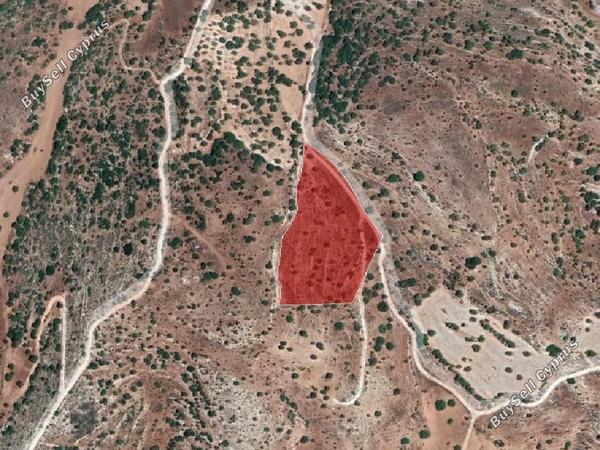 land for sale nata paphos 974154 image 17158597