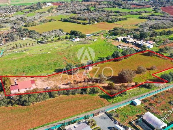 land for sale paralimni famagusta 1638154 image 10888921