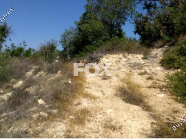 land for sale tala paphos 1161154 image 14827648