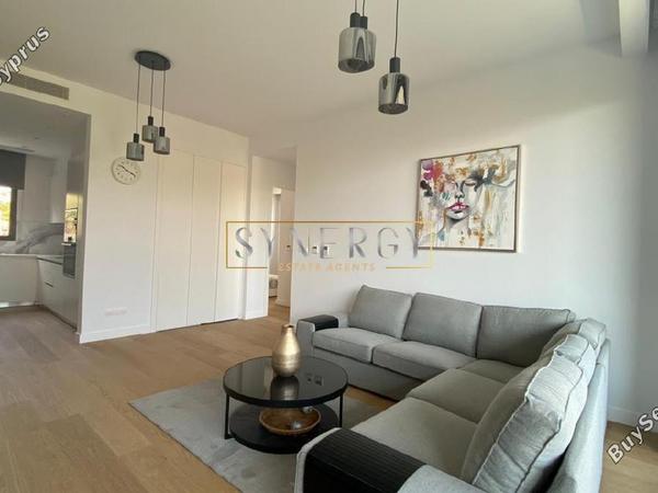 2 bedroom apartment for rent potamos germasogeias limassol 8525254 image 16033039