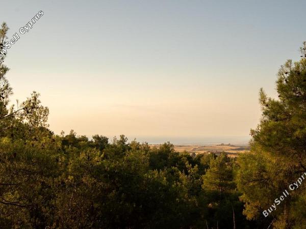3 bedroom detached house for sale evrychou nicosia 1073354 image 16245357