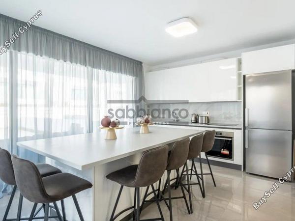 4 bedroom detached house for sale ormideia larnaca 8736354 image 16347905