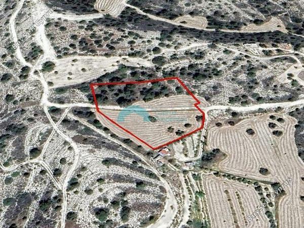 land for sale anglisides larnaca 1325354 image 5446726