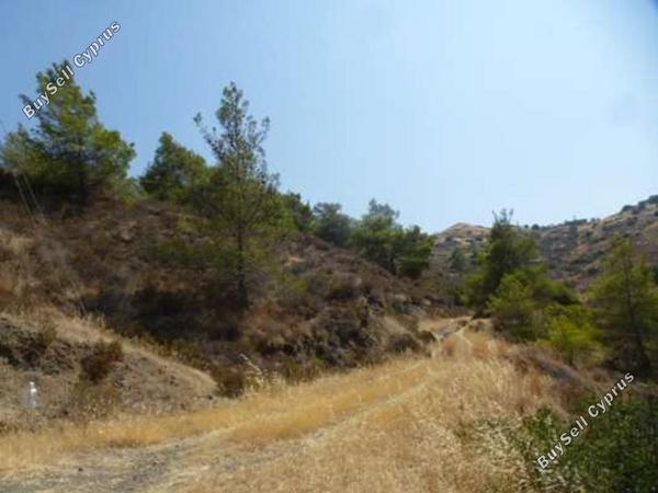 land for sale pigenia nicosia 946354 image 15876537
