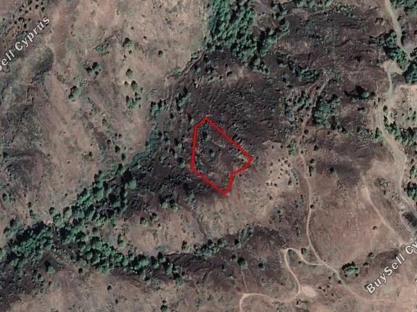 land for sale pigenia nicosia 966354 image 12843168
