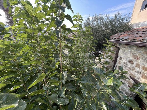 4 bedroom semi detached house for sale kapedes nicosia 1590454 image 13608810