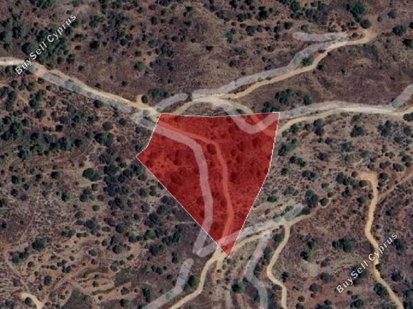land for sale kalo chorio lemesou limassol 8630454 image 15873412