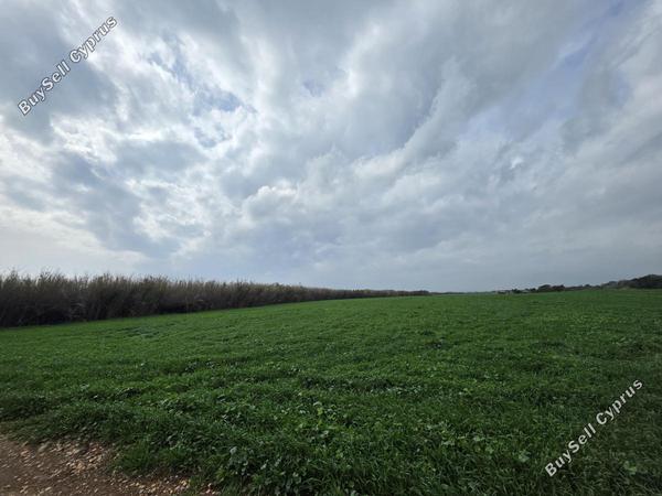 land for sale ormideia larnaca 8307454 image 14134787