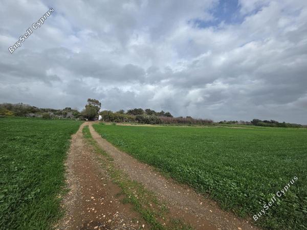 land for sale ormideia larnaca 8307454 image 14134805
