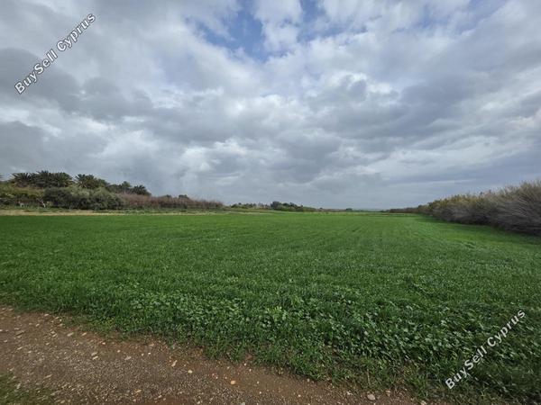 land for sale ormideia larnaca 8307454 image 14134811