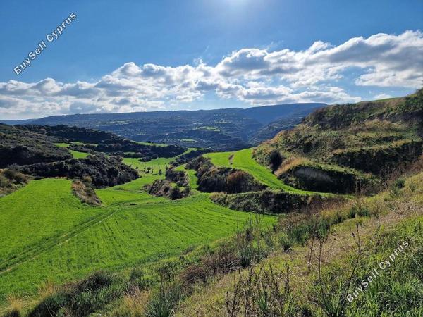 land for sale skoulli paphos 1897454 image 14205701