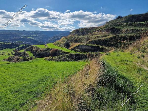 land for sale skoulli paphos 1897454 image 14205702