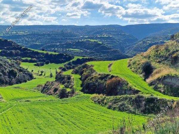 land for sale skoulli paphos 1897454 image 14205703