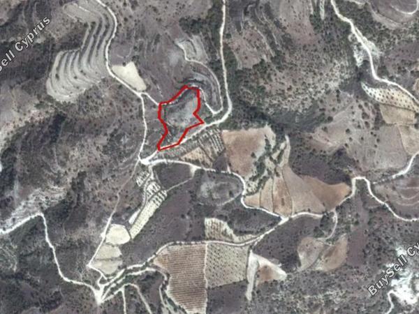 land for sale trahipedoula paphos 828454 image 2809473