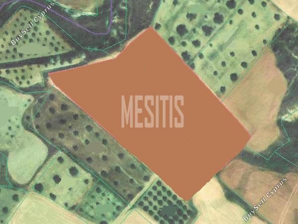 land for sale tseri nicosia 988454 image 10485521
