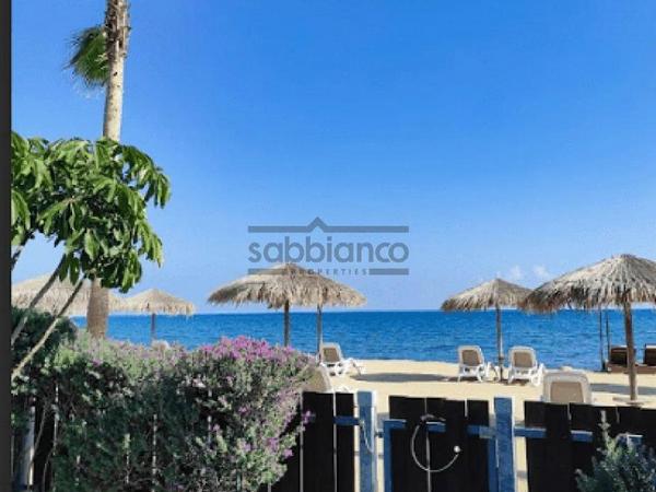 3 bedroom detached house for sale mazotos larnaca 8744554 image 16422202