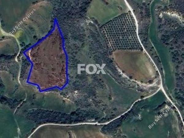 land for sale kato akourdalia paphos 1270554 image 14828199