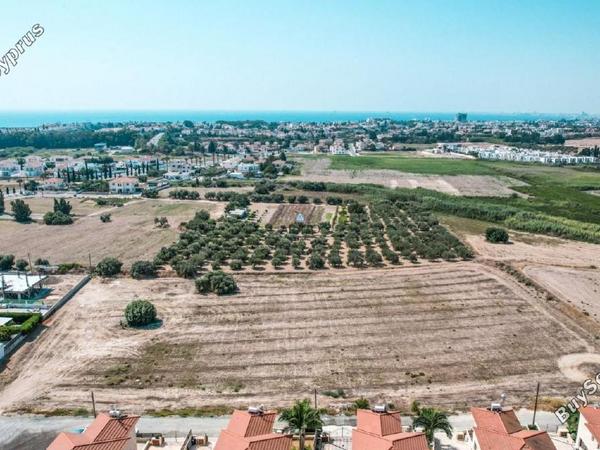 land for sale pyla larnaca 957554 image 5590620
