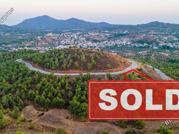 land sold kornos larnaca 839554 image 696541