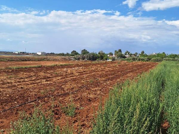plot for sale xylofagou larnaca 7997554 image 16133760