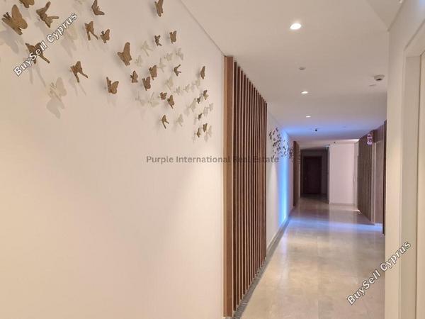 3 bedroom apartment for sale kato paphos paphos 8140654 image 14888836