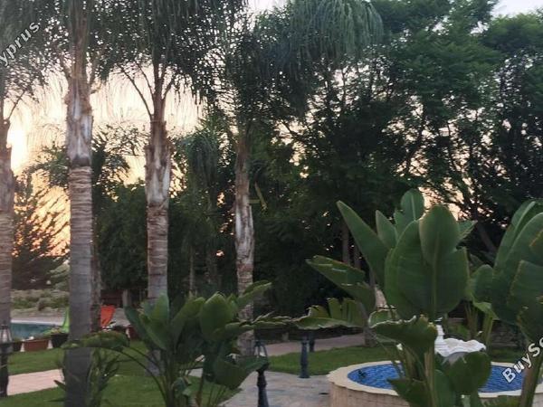 5 bedroom detached house for sale politiko nicosia 1173654 image 7020982