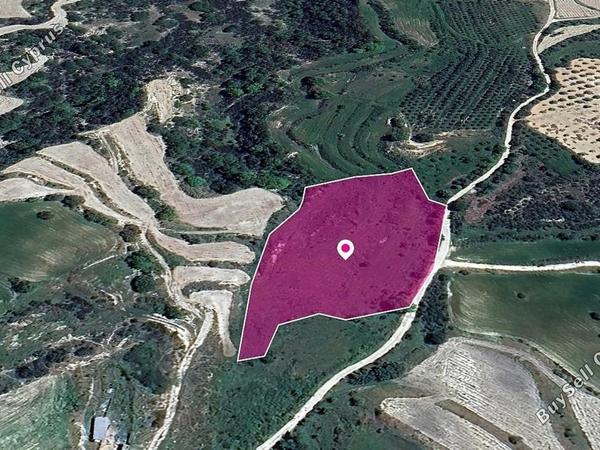 land for sale polemi paphos 8629654 image 15869454