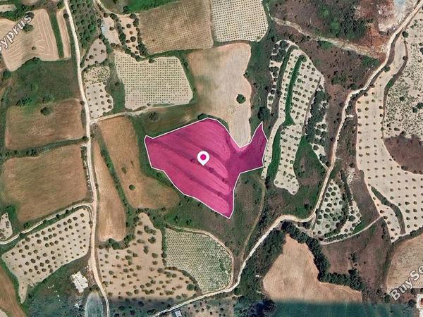 land for sale theletra paphos 1216654 image 14842168