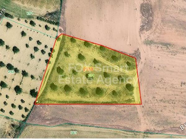 plot for sale psimolofou nicosia 1151654 image 5139148