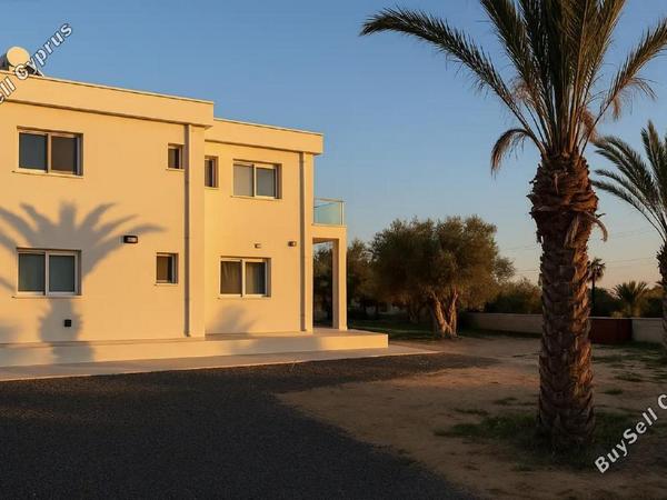 4 bedroom detached house for rent peyia paphos 8050854 image 14558833