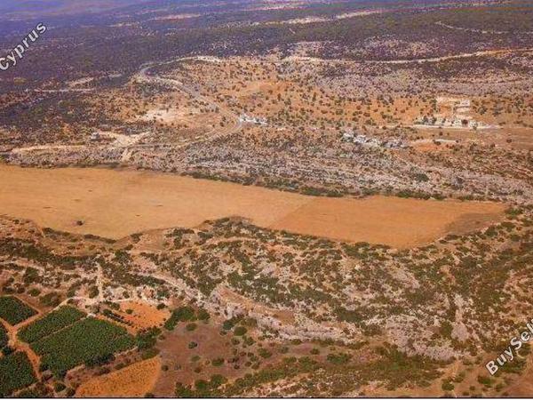 land for sale peyia paphos 8473854 image 15229990