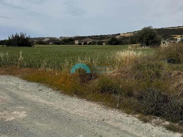land for sale tochni larnaca 8467854 image 15179883