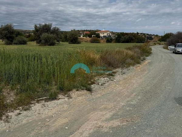 land for sale tochni larnaca 8467854 image 15179886