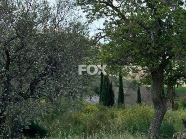 plot for sale armou paphos 1160854 image 10405535