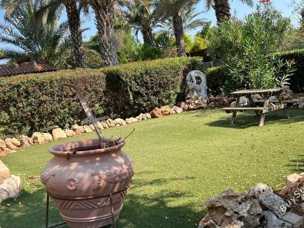 4 bedroom detached house for sale pervolia larnaca 8597954 image 15734827
