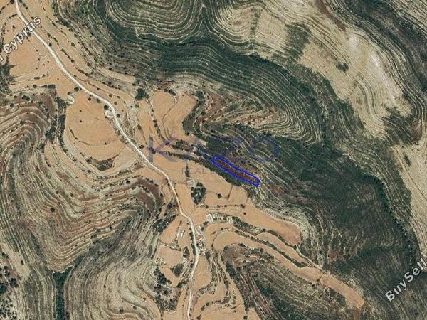 land for sale lofou limassol 8381954 image 15880843