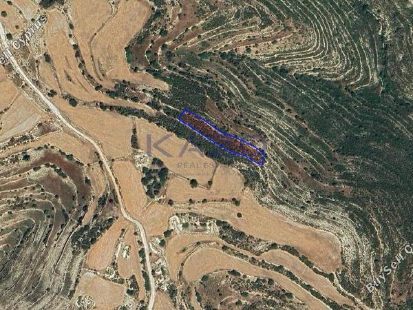 land for sale lofou limassol 8381954 image 15880844
