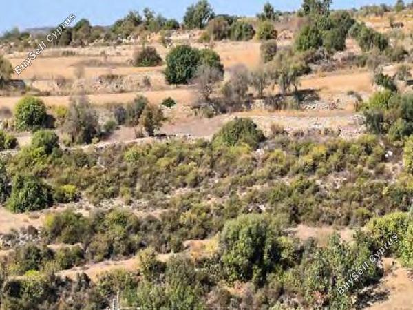land for sale pachna limassol 945954 image 17227835