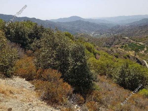 land for sale pelendri limassol 1081954 image 17287034