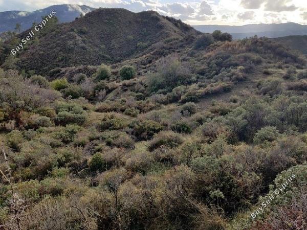 land for sale pelendri limassol 890954 image 17158885