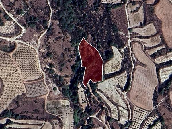 land for sale stroumbi paphos 8664954 image 17010492