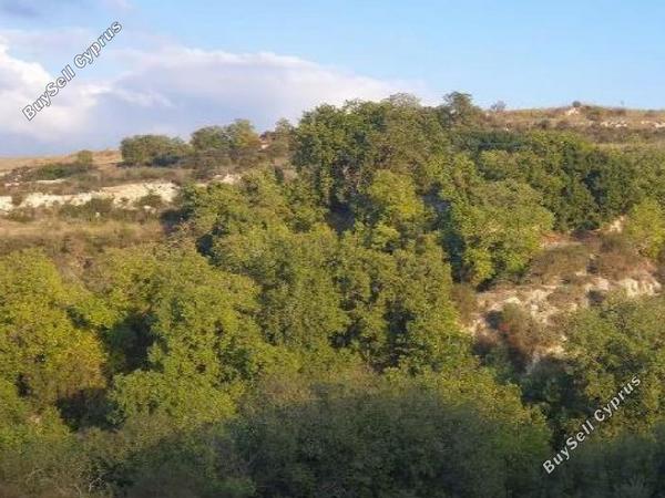 land for sale stroumbi paphos 8664954 image 17010493