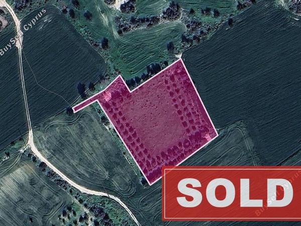 land sold tochni larnaca 1777954 image 5026809