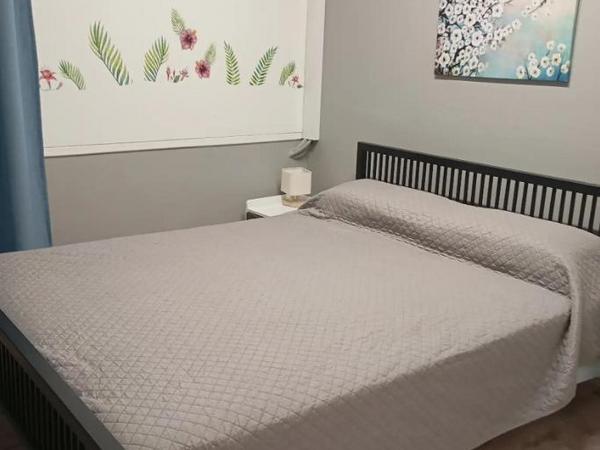 1 bedroom apartment for rent strovolos nicosia 8705064 image 16337467