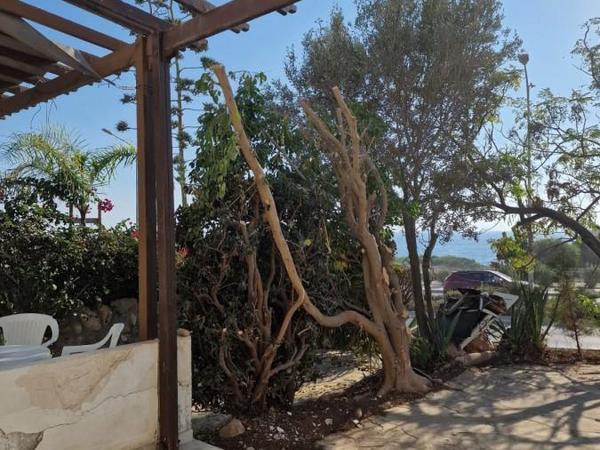 2 bedroom town house for sale tombs of the kings paphos 7736064 image 12546805